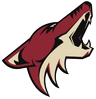 Arizona Coyotes